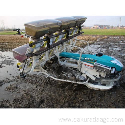 Hand Push Rice Planter